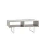 ClosetMaid 4962 Rectangular Wood Coffee Table with Storage Shelves, Taupe